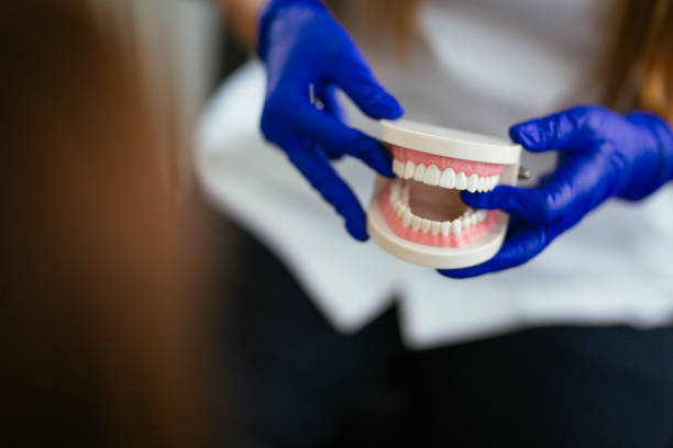 Best Full Mouth Reconstruction  in Camp Hill, AL